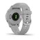 Garmin Venu 2S Silver Bezel With Mist Gray Case And Silicone Band