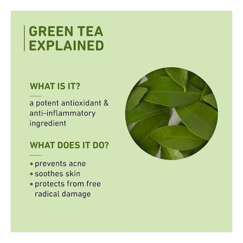 Plum Green Tea Mattifying Moisturizer 50ml