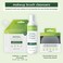Ecotools Professional Makeup Cleaner For Makeup Brushes, Brush And Makeup Beauty Sponge Cleansing Shampoo, Fragrance Free, Hypoallergenic, Paraben Free, 6 FL.OZ./ 177 ml Bottle