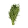 Fresh Dill