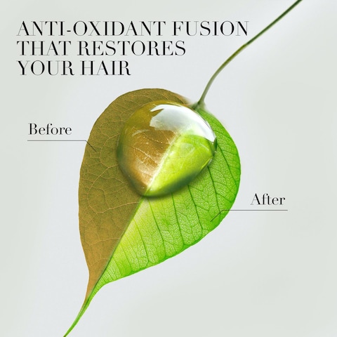 Herbal Essences Bio:Renew Natural Shampoo with White Strawberry &amp; Sweet Mint for Hair Volume 400ml