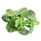 Farm Fresh Baby Spinach 125G