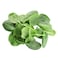 Farm Fresh Baby Spinach 125g
