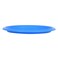 Mintra Plastic Plate 8.5 Inch Blue