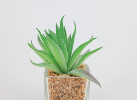 Artificial succulent bonsai-Model 05