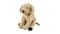 Soft toy, dog/golden retriever, 40 cm