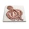 Octopus Small