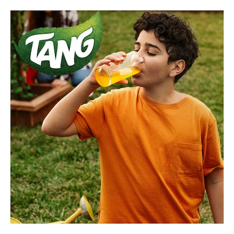 Tang Orange Flavoured Juice 375g