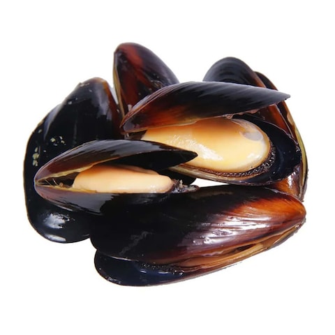 Frozen Mussels