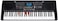 Mike Music 61 Keys Full Size Electronic Piano Keyboard portable Musical Instrument (825 with Bag)