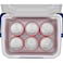 Coleman Performance 6 Personal Cooler Blue 5 Quart