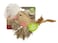 Petlinks&reg; HappyNip&trade; Happy Hen&trade; 100% Catnip Filled Cat Toy