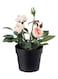 Generic Fejka Artificial Potted Plant Multicolour