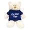 Cream Bear with Blue Hoodie Get Well Soon 38cm