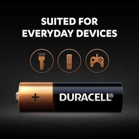 Duracell Type AA Alkaline Batteries Gold 12 count