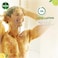 Dettol Fresh Shower Gel &amp; Body Wash, Citrus &amp; Orange Blossom, 5000ml
