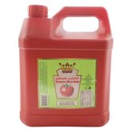 Buy Royal Crown Tomato Ketchup 5kg in Kuwait