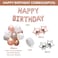 Party Time 36-Pieces Rose Gold Birthday Party Decoration Kit - With Latex Balloons, Star Foil Balloon, Happy Birthday Banner and Balloon Pump For Baby Girls, Boys, Adults Birthday Party Supplies