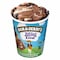 BEN&amp;JERRYS I/C PHISH FOOD465ML