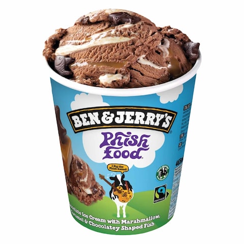 BEN&amp;JERRYS I/C PHISH FOOD465ML