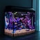 Vsell24 1Kg Multi Colored Colorful Stones Garden Gravel Aquarium Fish Tank Pebble Stones For Pots Decoration Craft 3-5 mm