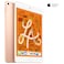 Apple iPad Mini Wi-Fi+Cellular 64GB 7.9 Gold (5th Generation)
