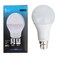 Sky Led Eco Bulb B22 12W