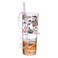 Royalford Acrylic Glass with Straw
