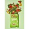 NFI Mr. Krisps Salad Chips 55g