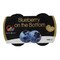 Bio Fob Blueberry Yogurt 150ml x Pack of 2
