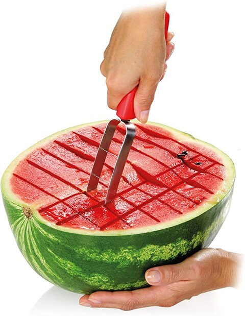 Tescoma Melon Cutter
