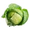 Cabbage White Whole
