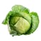 Cabbage White Whole 1Pc