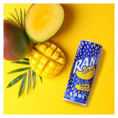 Rani Mango Juice - 235 ml
