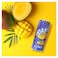 Rani Mango Juice - 235 ml