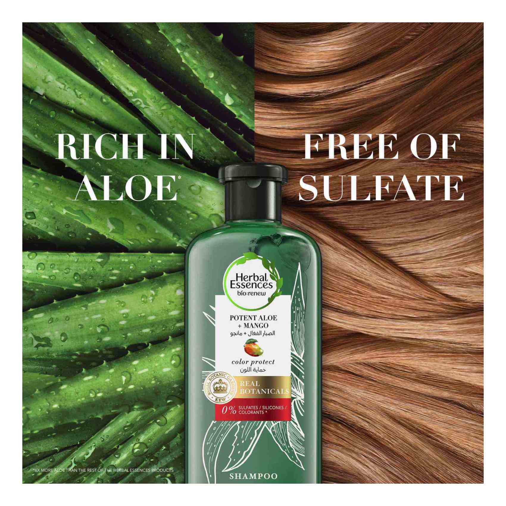 Herbal Essences Color Protect Sulfate Free Potent Aloe Vera + Mango Natural Shampoo for Dry Hair And Hair Hydrate 400ml