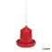 Gaun 4kg Bird Feeder for Chicken / Hen &amp; Other similar Birds, 29&times;31cm (Made in Spain)