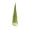 Organic Fresh Aloe Vera 500g