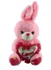 Child Toy Non-Toxic Stuffed And Plush Soft Bunny Rabbit