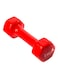 Generic Vinyl Coated Fixed Weight Dumbbell 1x2kg