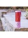 BlendJet V2 Portable Blender 16oz Blush