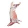 Sawakny Whole Fresh Lamb