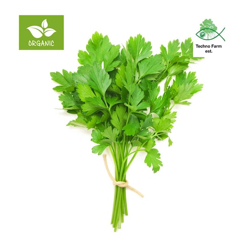 Buy Techno Farm Organic Cilantro Tray - 100g in Saudi Arabia