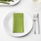 FANTASTISK Medium Green Paper Napkins 3-Ply