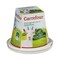 Carrefour Goat Cheese 150Grs 45%