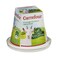 Carrefour Goat Cheese 150Grs 45%