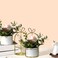 Aiwanto Flower vase Artificial Flowers With Vase  Decoration Home Decor Piece Tabletop Decoration(2Pcs)