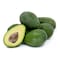 Avocado Fuerte2Kg