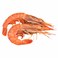 Frozen Shrimp 20/30