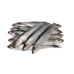 Buy Fresh Anchovies in UAE